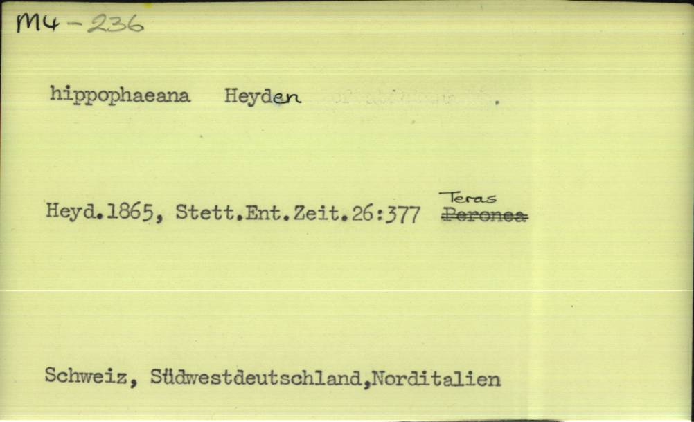 front of card